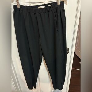 Aritzia Babaton Elegant Black Pocket Dress Pant Trousers w Jogger bottom M